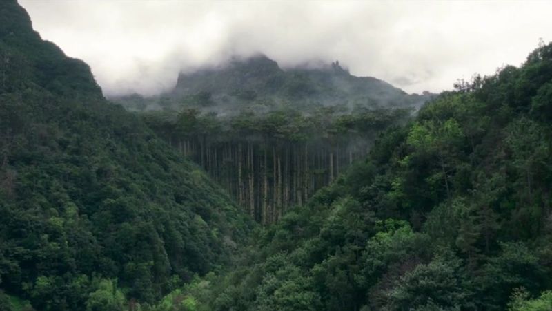 #movie #movieclips🎬 #movies #moviescene #moviescenes #moviesclips #fi...