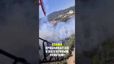 Лесной пожар разбушевался в Турции: полностью эвакуировано одно село