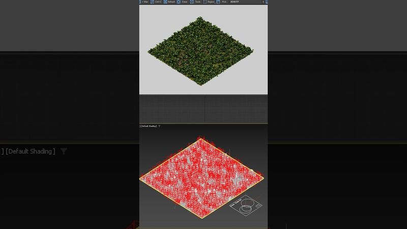 Тропинка в лесу