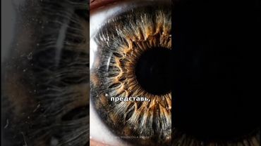 Тайная механика твоего взгляда: что скрывает радужка? 👁️⚙️