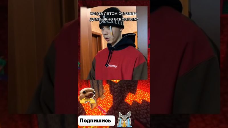 Нарезка мема с Комарами😍#memes #мем #подпишись #поставьлайк