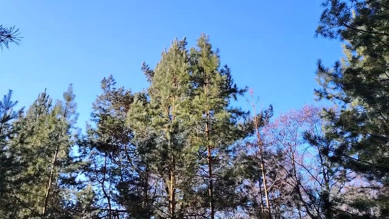 Текучка кадров - это диагноз в работе по найму в организации