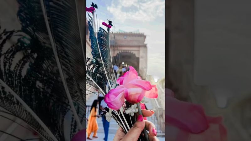 ~and this you find ~😌🧿👀🫀#harekrishna #radheradhe #bhakti #vibes