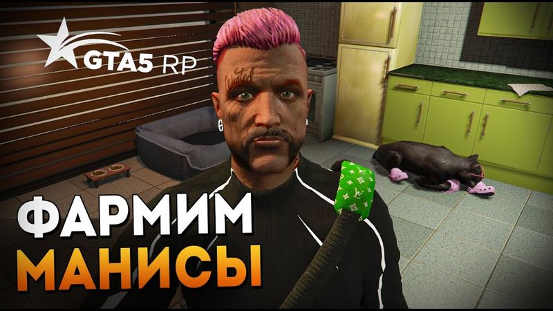 ЛУЧШИЙ СПОСОБ ФАРМИТЬ ДЕНЬГИ В GTA5RP. промо TOPOL #СНУЛЯ