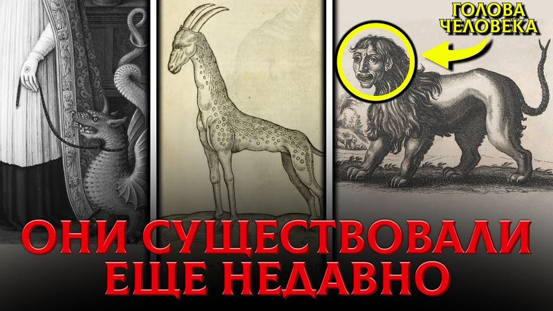 Эти Существа Найдены в Бестиарии 17 Века. Кто Населял Землю До Катастрофы?