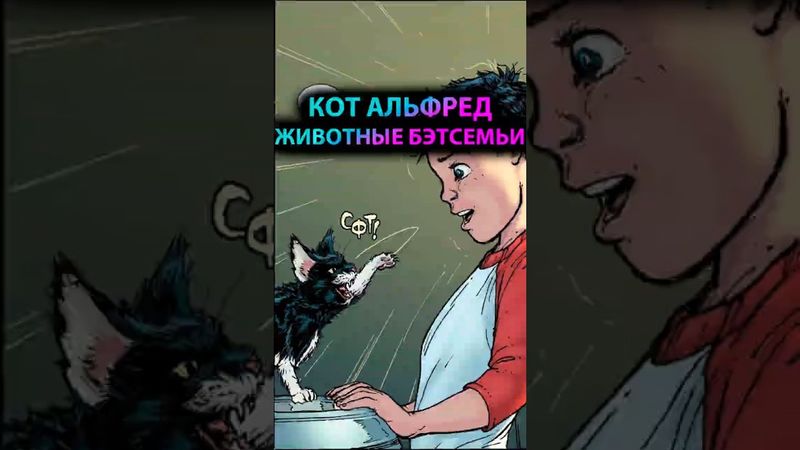 ЖИВОТНЫЕ Бэтсемьи | Кот АЛЬФРЕД #batman #марвел #дс #бэтмен #dc #gotham #готэм #batfamily
