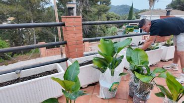 VLOG: ВОТ ТЕПЕРЬ КРАСОТА БУДЕТ! 02.05.25