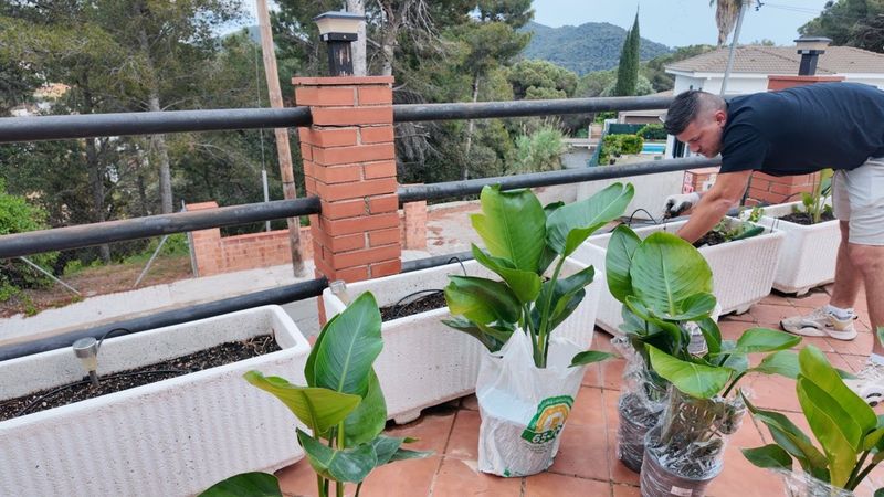 VLOG: ВОТ ТЕПЕРЬ КРАСОТА БУДЕТ! 02.05.25