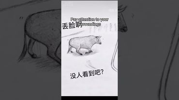 #puppy #gsds #yourdog #funny