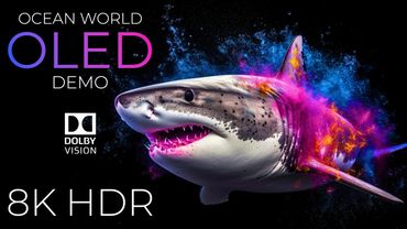 Ocean World OLED Demo HDR 8K Ultra HD Dolby Vision™ 60fps