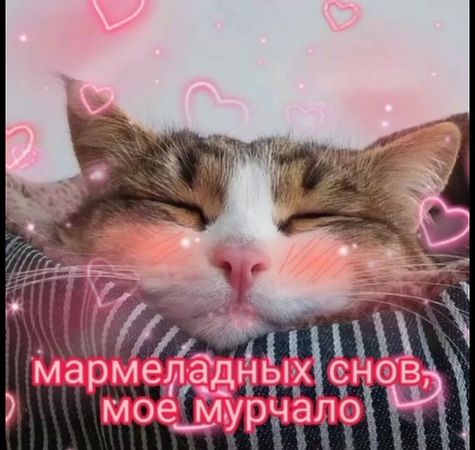 красивое видео спокойной ночи