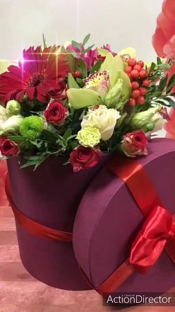 TikTok video #7070422087776603393