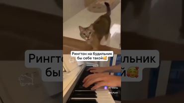 Я уже скачал чего и Вам...