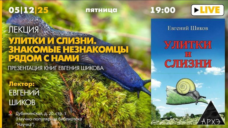 Лекция «Улитки и слизни. Знакомые незнакомцы рядом с нами» в рамках презентации книг Евгения Шикова