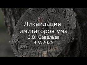 С.В. Савельев - Ликвидация имитаторов ума