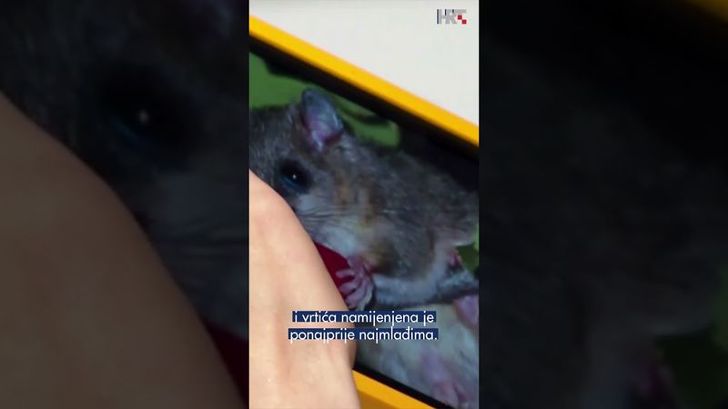 Edukativna izložba Diverterra stigla u Slavoniju