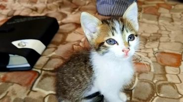 #Славянск. 3 сентября 2025г. Вечер.