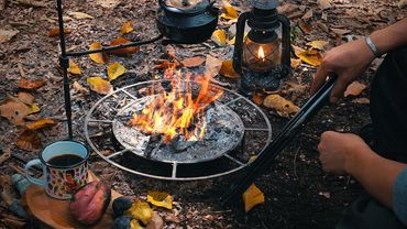 Cozy Solo Camping | Calm Fire in Autumn Forest (ASMR)