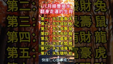 八月順風順水翻身走運的生肖! #正能量 #運勢 #生肖 #十二生肖 #玄學 #風水 #順風順水 #財運 #轉運 #翻身 #天生我有戲