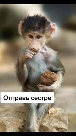 @_anasteisheenn_17 #малая