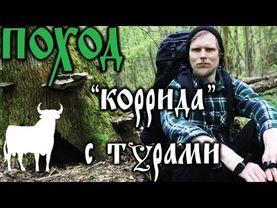 Поход - "Коррида с Турами": в поисках диких лошадей ТАРПАНОВ (2 часть)
