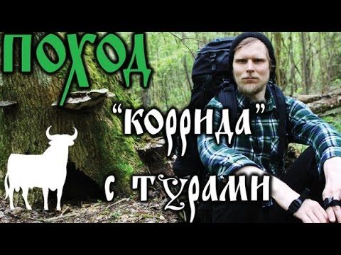 Поход - "Коррида с Турами": в поисках диких лошадей ТАРПАНОВ (2 часть)