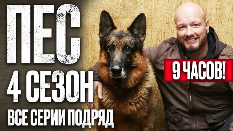 🎬 Сериал ПЕС 4 сезон – Полный 4 СЕЗОН – ВСЕ СЕРИИ ПОДРЯД (1 – 10) | ПЕС 2023 – ЧАСТЬ 1