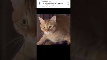 Переиграл))