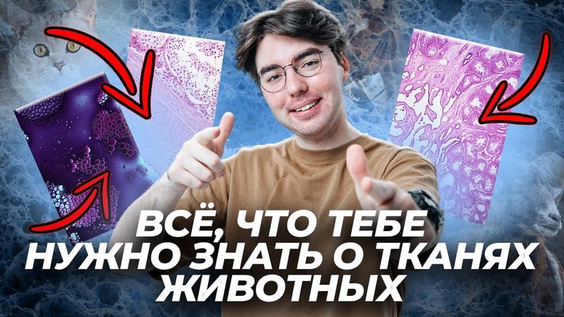 Всё о тканях животных для ОГЭ | Без этой теории ты не сдашь экзамен!