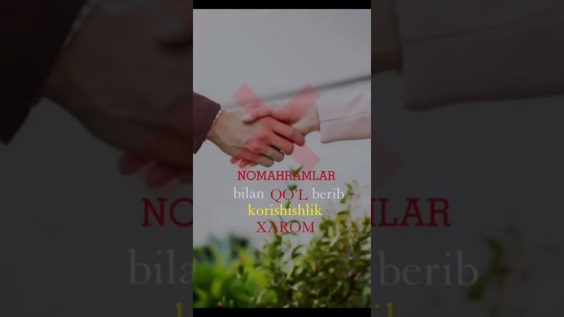 15 июня 2025 г.