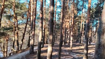 Человек директора в работе по найму.