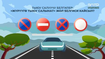 “ЖҮРҮҮГӨ ТЫЮУ САЛЫНАТ” ЖОЛ БЕЛГИСИ КАЙСЫЛ?