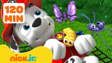 Щенячий патруль: Спасение насекомых! 🐝 | 2 часа | Nick Jr. Cyrillic