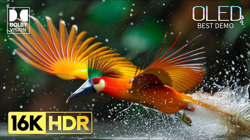 BEST 16K HDR 120FPS Video 🌿Dolby Vision