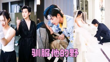 周家太子爺周行安是京圈出了名的紈絝，結婚後也夜不歸宿浪跡酒吧，人人都笑她是個擺設，她淡淡一笑充耳不聞，怎料後來圈內卻流傳一張照片——向來桀驁難馴的野犬竟一臉寵溺地為嬌妻穿鞋，眼底是前所未見的專註與愛意