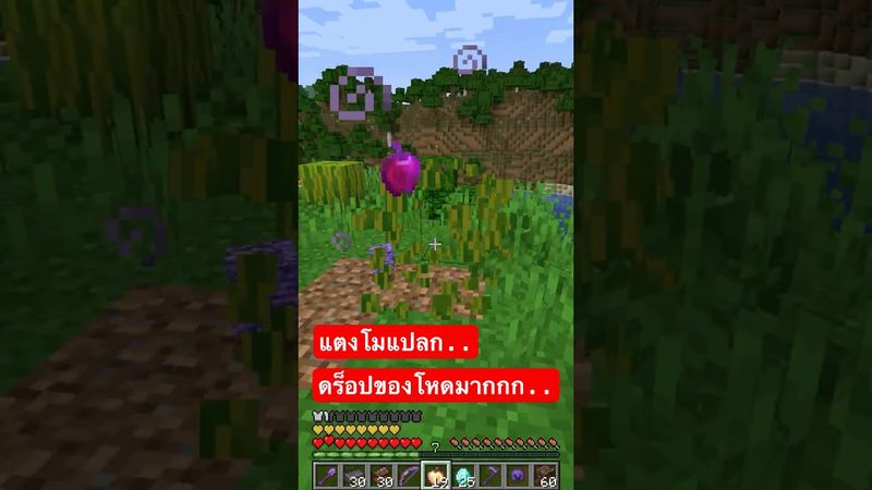 แตงโมแปลก.. ดร็อปของโหดมากกก 🍉‼️ #shorts #minecraft
