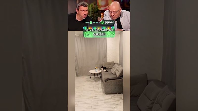 ЭТО ЛУЧШИЙ ПРИКОЛ с кошкой 😅