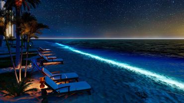 Night Beach Ambience | Wave Sound for Sleep | Crickets Sounds ASMR