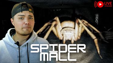 ТРЦ з ПАВУКАМИ — це жах!