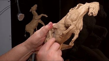 BATTLING FOR DOMINANCE   The Body and Left Shoulder of the Horse