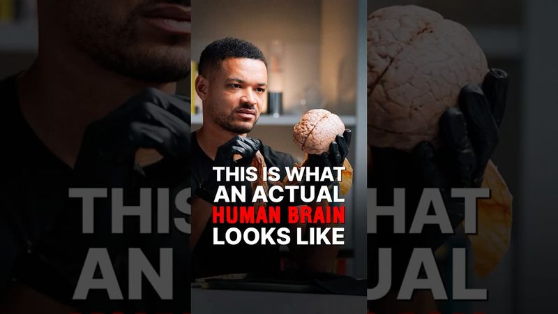 هل سبق لك أن حملت دماغًا بشريًا؟ 🧠