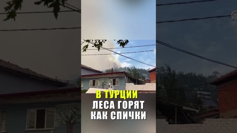 В Турции продолжают бороться с лесными пожарами