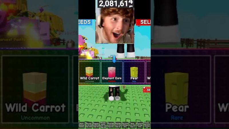 Caylus Gets The Rainbow Elephant Ears in Grow a Garden