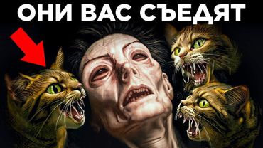 Парад Фактов: Самое Странное Поведение Животных