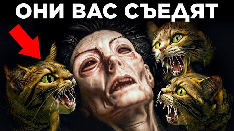 Парад Фактов: Самое Странное Поведение Животных