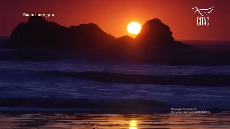 ЕВАНГЕЛИЕ ОТ МАРКА 942-101! #Евангелиедня #СвятоеЕВАНГЕЛИЕ