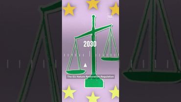 Why are wetlands and moors important? | Explainer – EP44