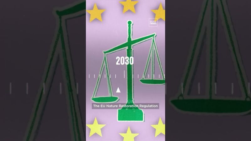 Why are wetlands and moors important? | Explainer – EP44