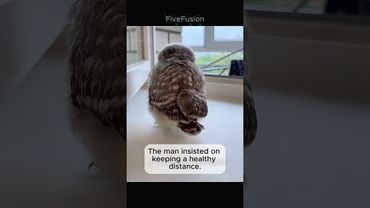 A man has a new forever friend after rescuing it from a Storm Drain