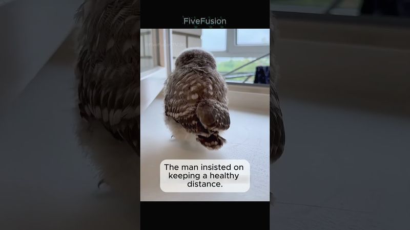 A man has a new forever friend after rescuing it from a Storm Drain